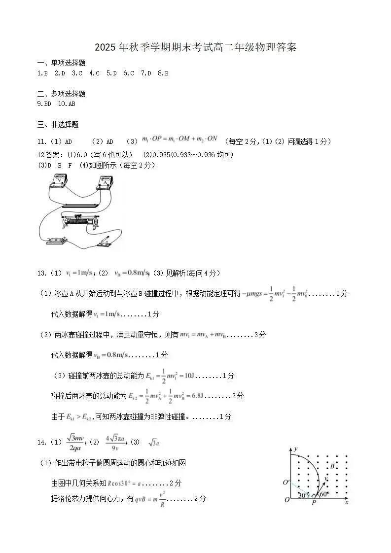 《高中试卷》安徽合肥市六校联考2025-2026学年高二上学期期末考试物理(含答案) 第7张