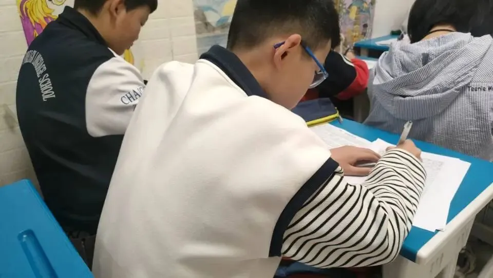 中考作文一材多用:逢年过节回老家 第21张