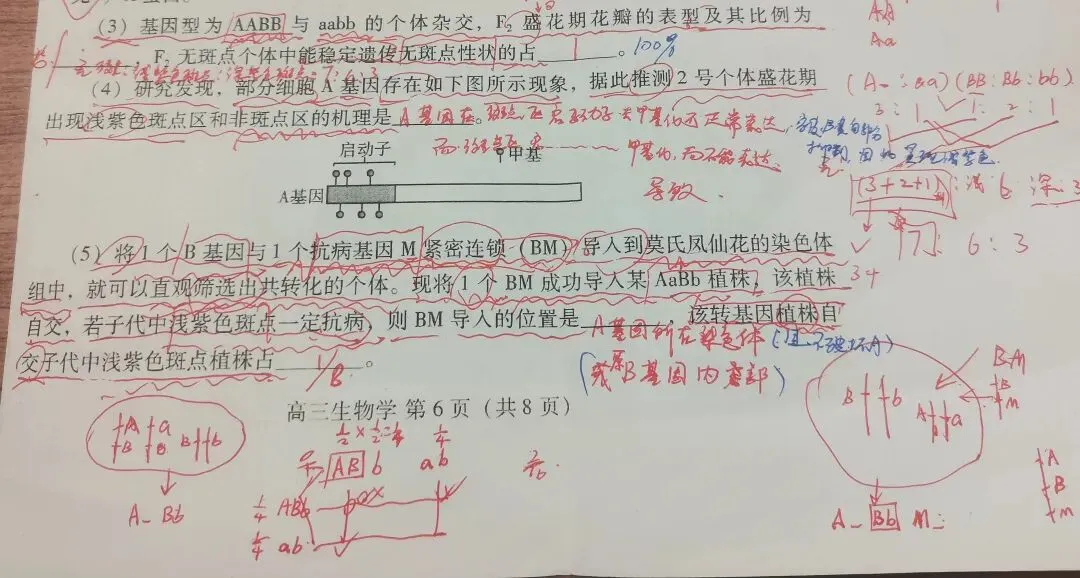 模拟考试,阅卷有感--总有遗憾不甘 第1张