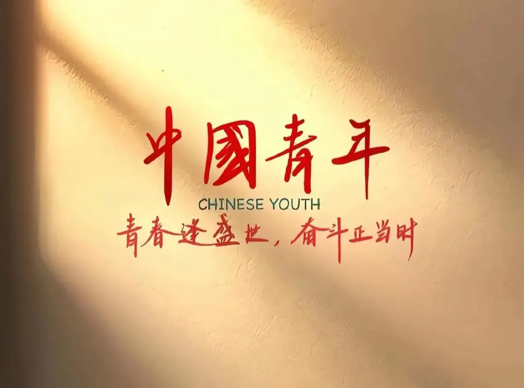 【中考阅读指导】青年的模样,是时代的镜像(陈圆圆)江西2025 第3张