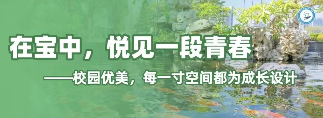 宝中高中家长经验分享--深圳中考二模后,我终于悟了:备考拼的不是熬夜,是这3件事! 第9张