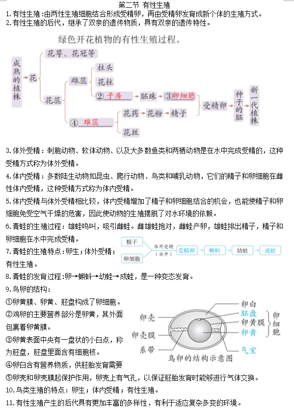 初中生物学中考总复习核心概念及小测 第2张