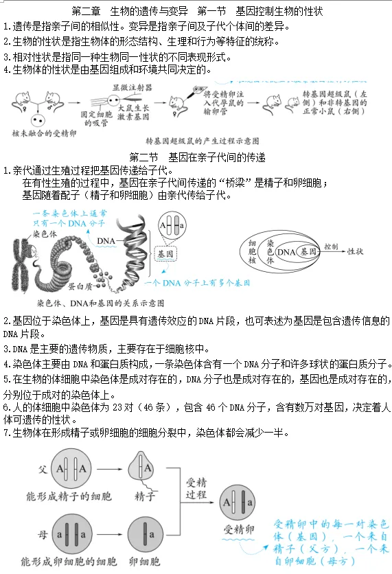初中生物学中考总复习核心概念及小测 第3张