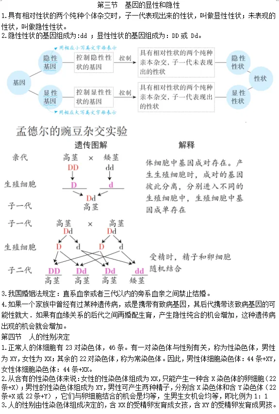 初中生物学中考总复习核心概念及小测 第4张