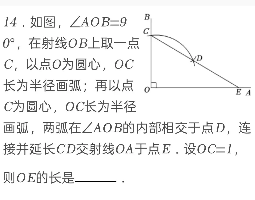 2025年四川省南充市中考数学试卷 第14张