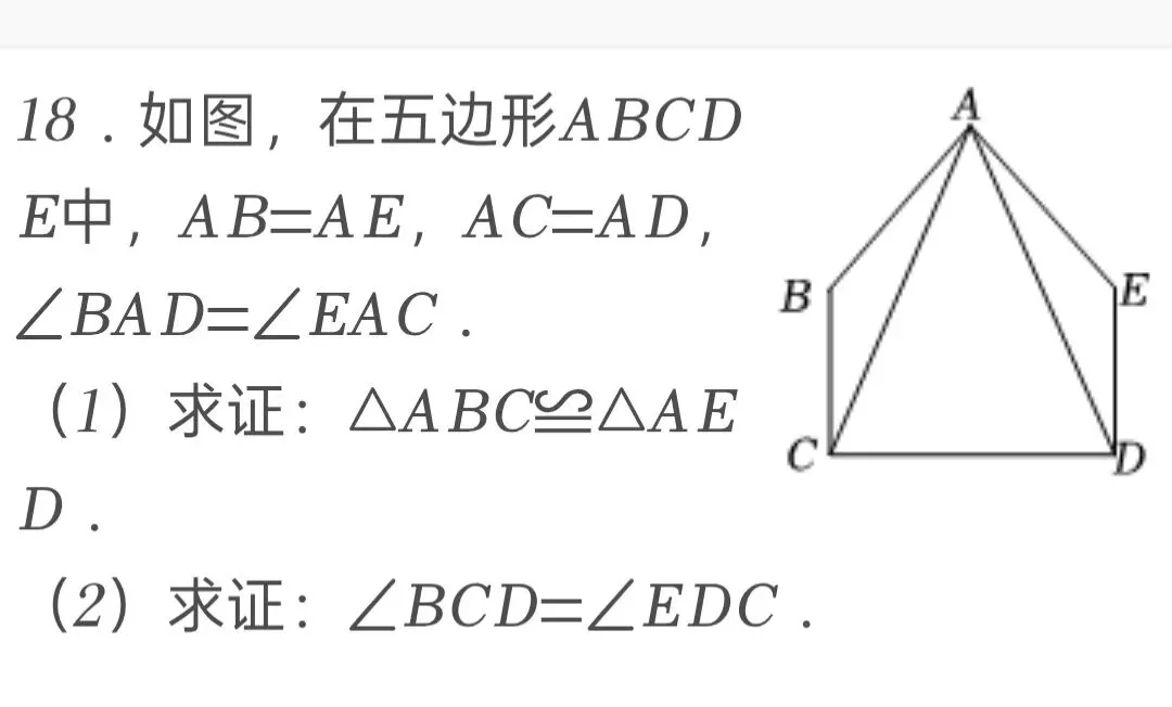 2025年四川省南充市中考数学试卷 第18张