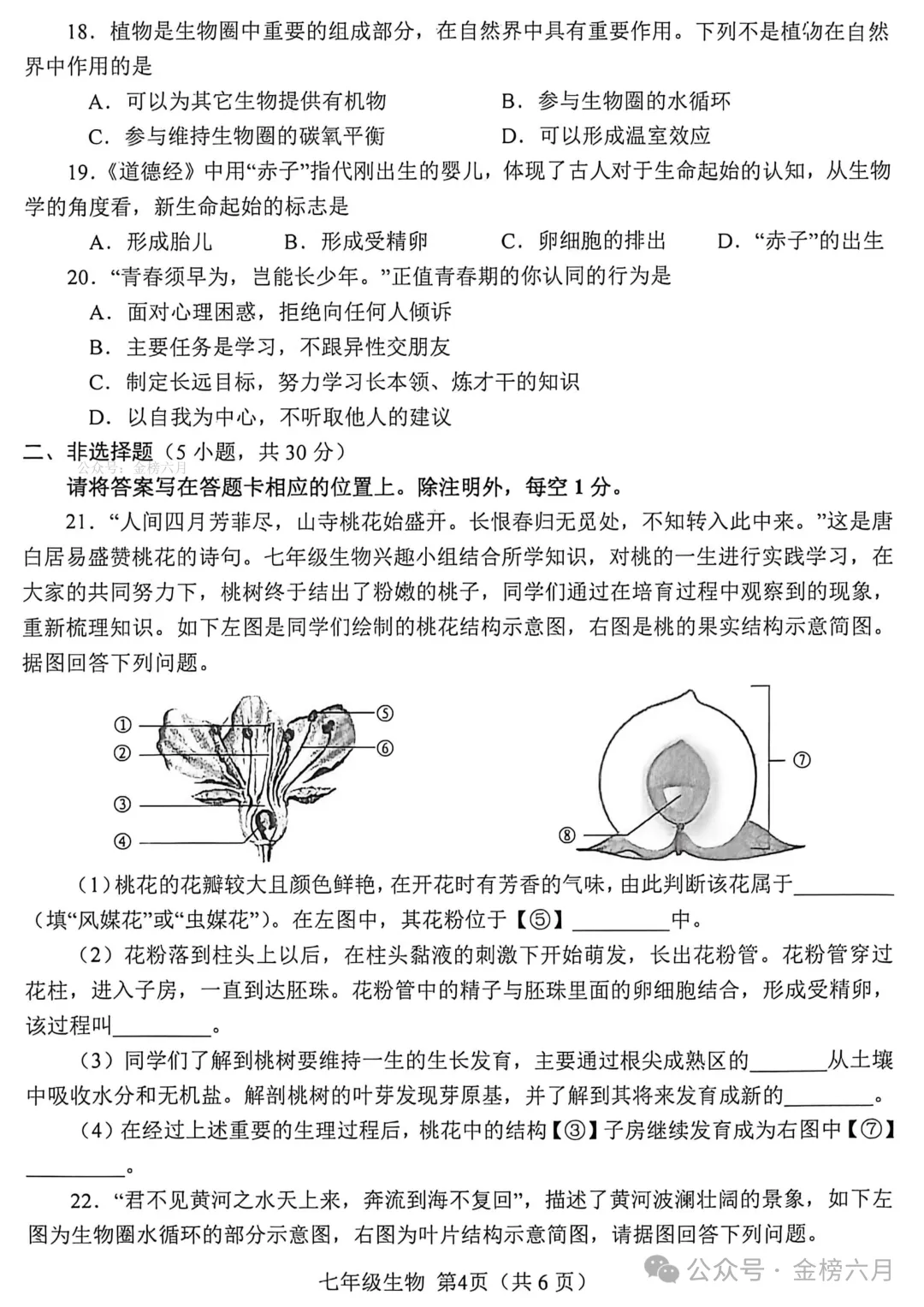 2026.4南阳市七八年级下学期期中试卷含答案(可下载) 第38张