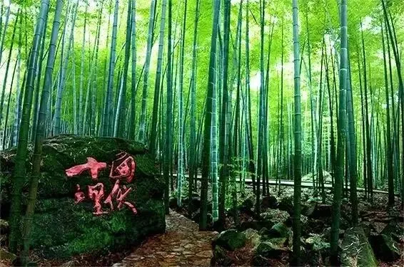 合肥市包河区2026年中考二模数学试卷及答案 第14张
