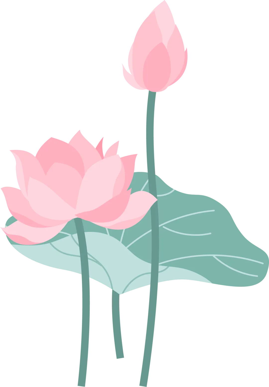 【中考真题】24节气:立夏 | 语法填空 在线测(含闪充视频/答案/解析/译文/电子稿 可下载) 第13张