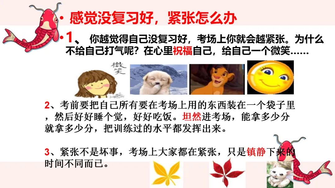 中考考前最后一节班会课 第25张