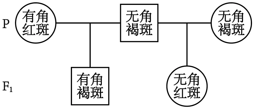 【高考真题】2025年甘肃卷生物试题 第2张