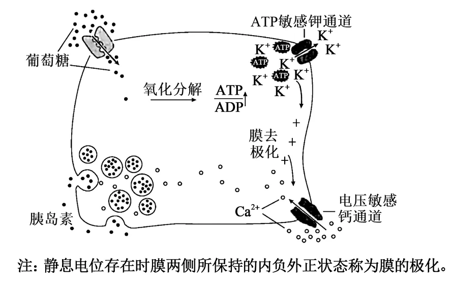【高考真题】2025年甘肃卷生物试题 第7张