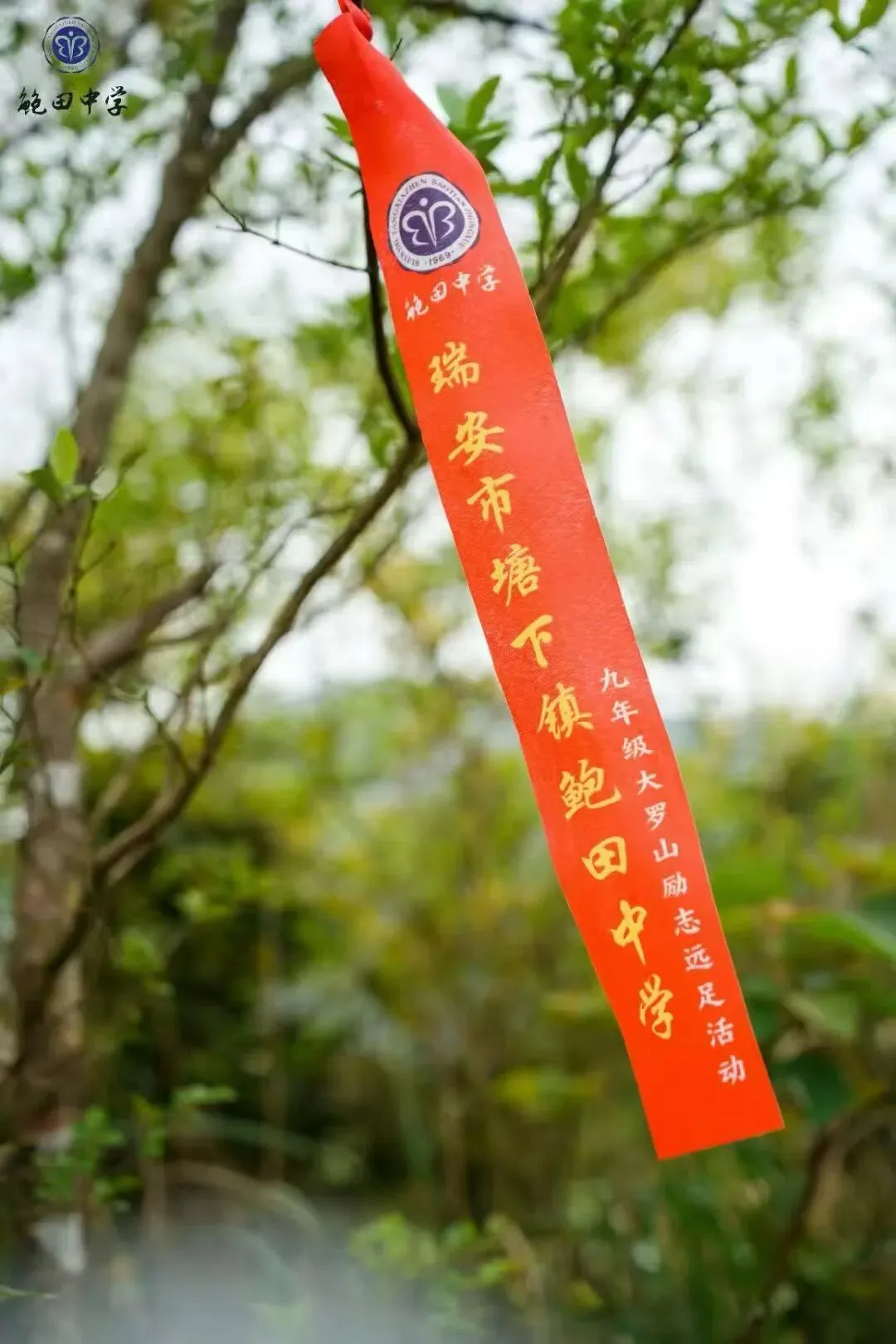 远足磨壮志 中考创辉煌 —— 2026年鲍田中学大罗山励志远足 第25张