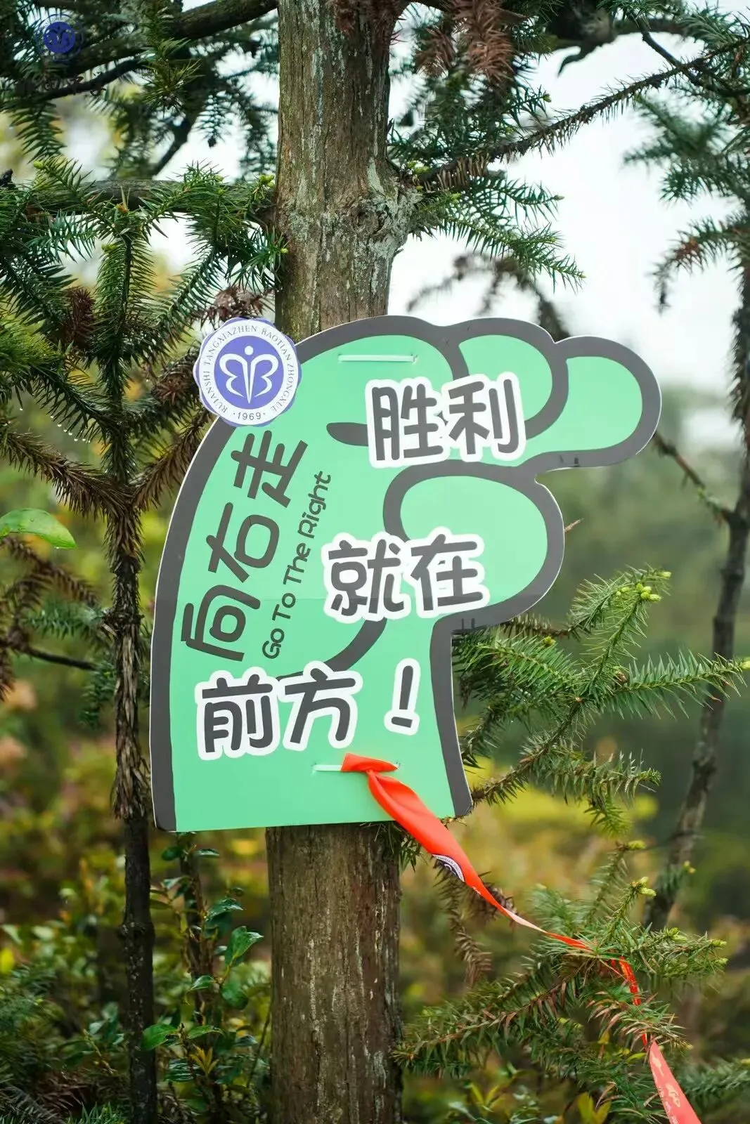 远足磨壮志 中考创辉煌 —— 2026年鲍田中学大罗山励志远足 第27张