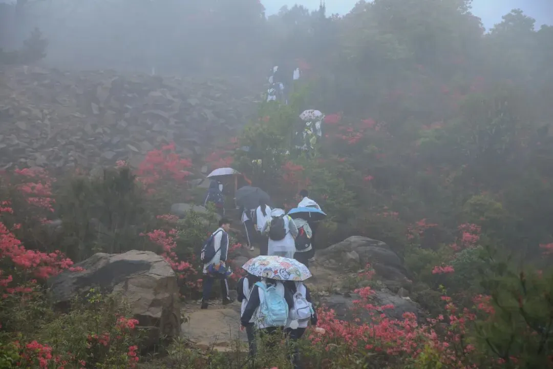 远足磨壮志 中考创辉煌 —— 2026年鲍田中学大罗山励志远足 第41张