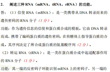 【生一押题喜报】暨南大学712生物化学真题押中56分(附26真题)(含考点解析)! 第13张