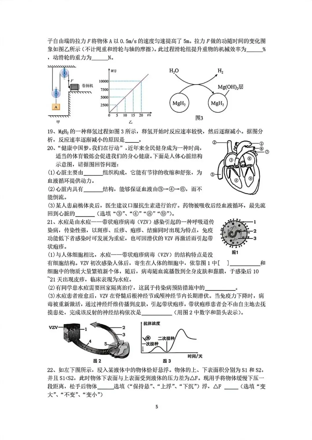 2026年浙江省宁波市重点中学提前招模拟考试科学卷(含答案) 第5张