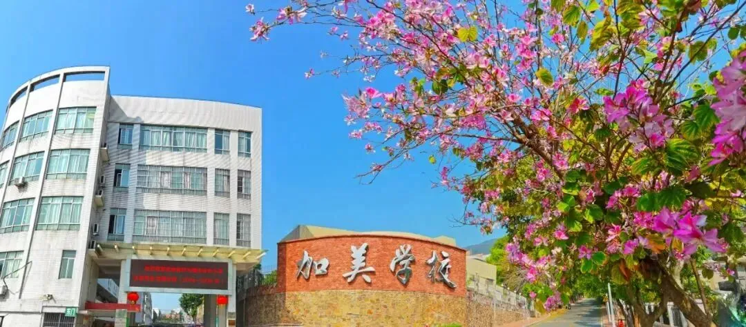 中考升学丨赴中招之约,筑成才之路!5月10日,加美约定你! 第29张