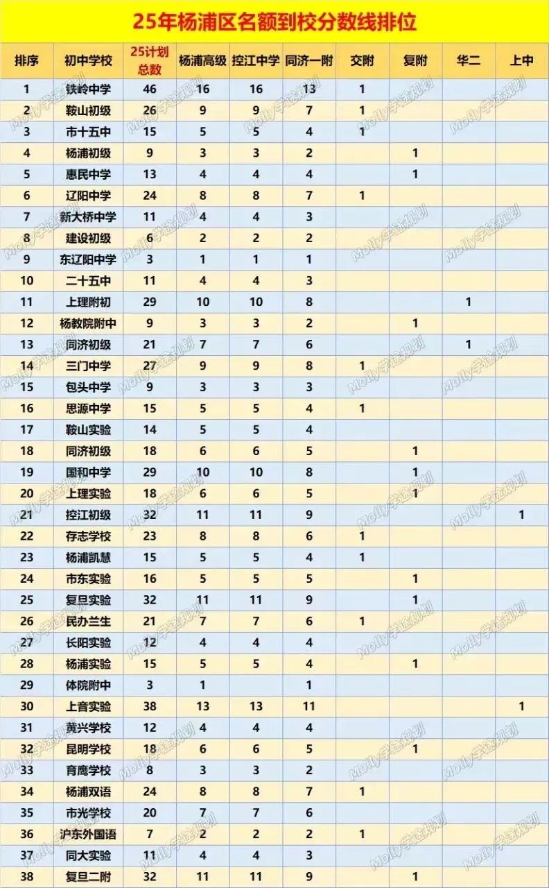 2025杨浦中考深度复盘:名额到校定格局,民办领跑、公办突围 第4张