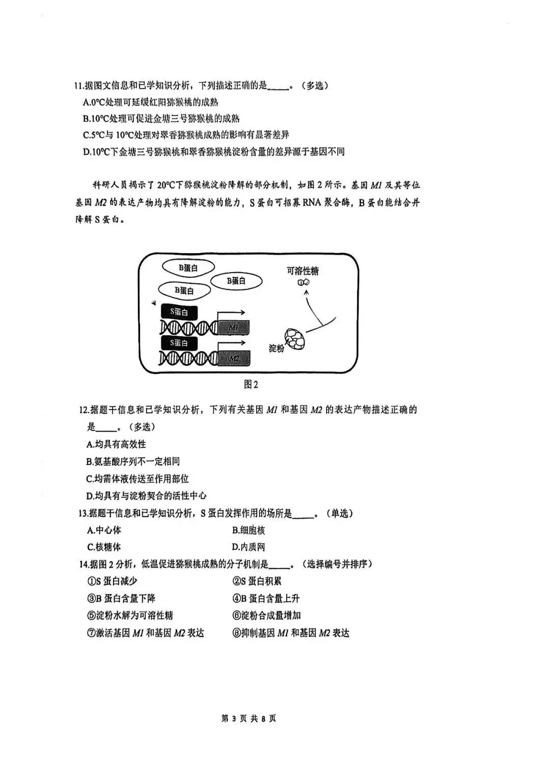 2026届奉贤区高三二模生物试卷 第3张