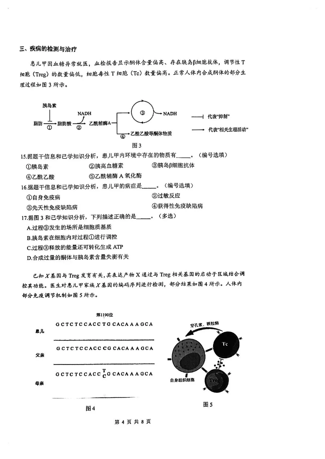 2026届奉贤区高三二模生物试卷 第4张