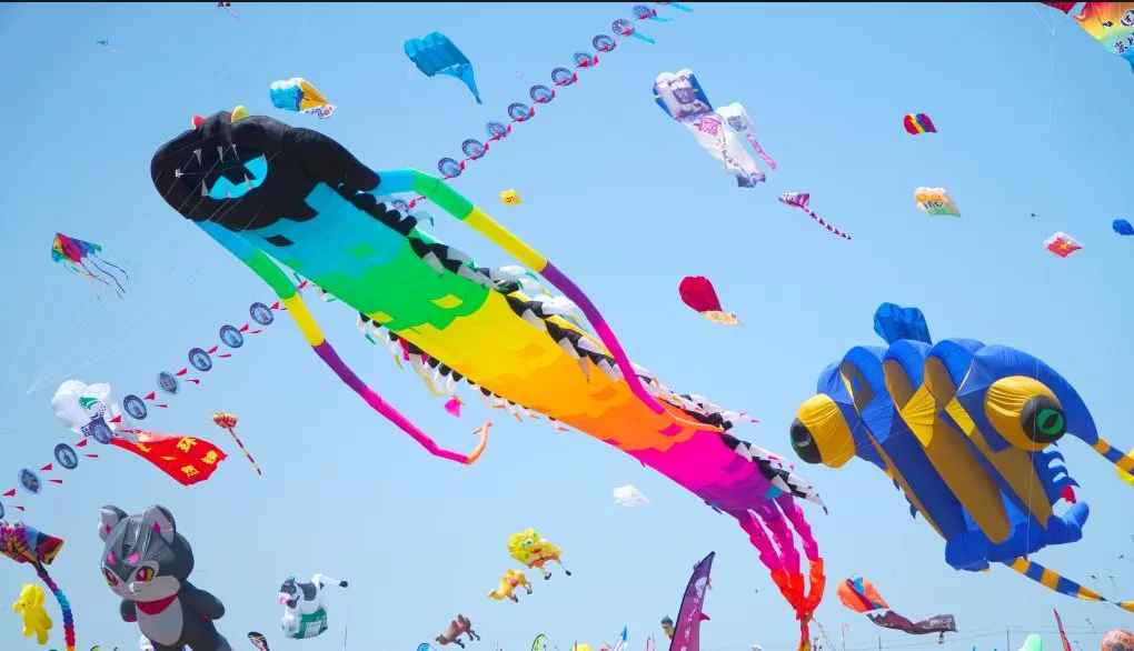 中考英语时文阅读(5)——Traditional Chinese Kite Craftsmanship 第7张