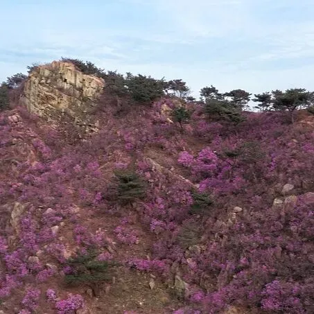 中考频道:五四青年节·游大珠山·触景寄语中考少年 第2张