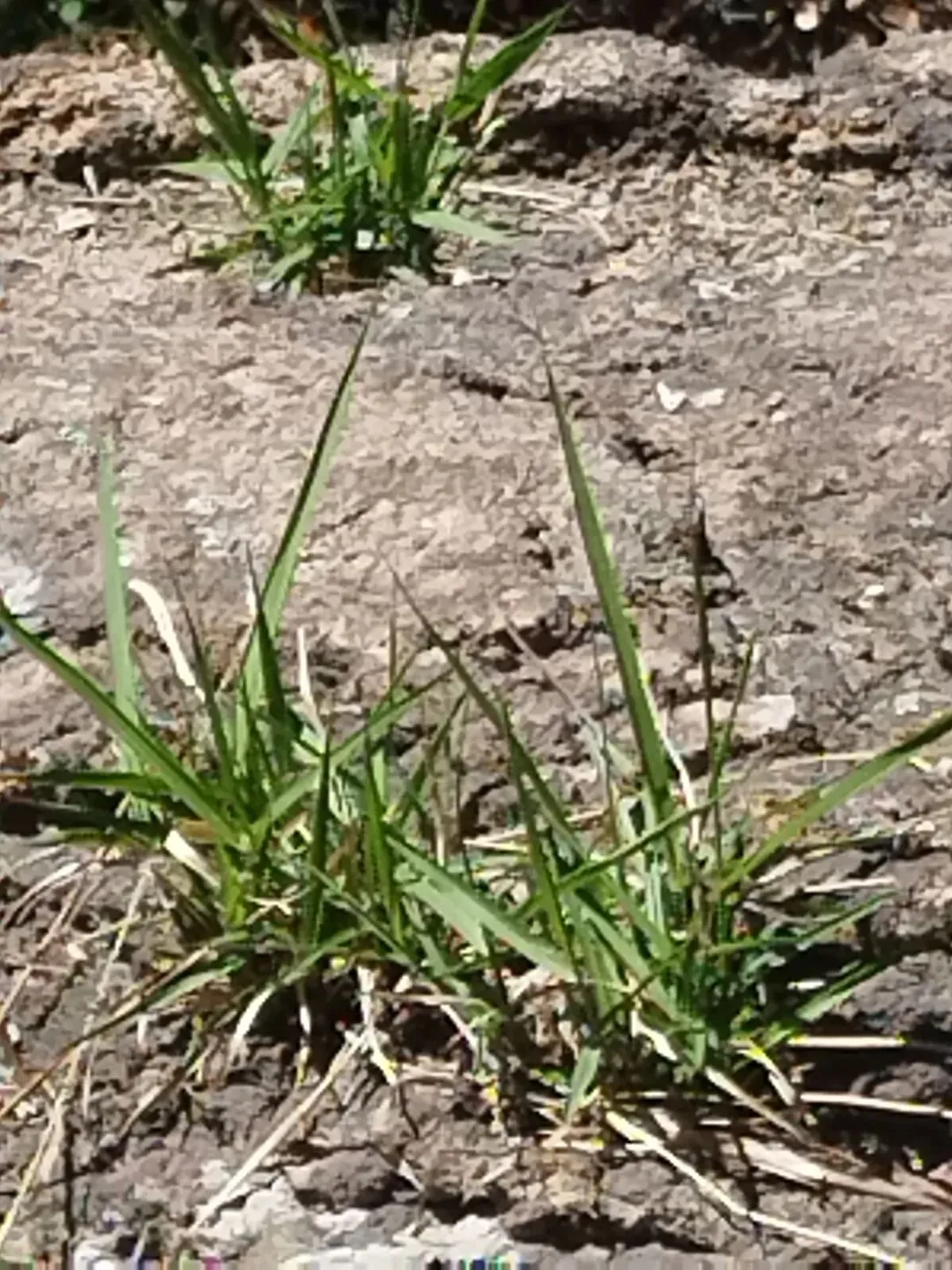 中考频道:五四青年节·游大珠山·触景寄语中考少年 第4张