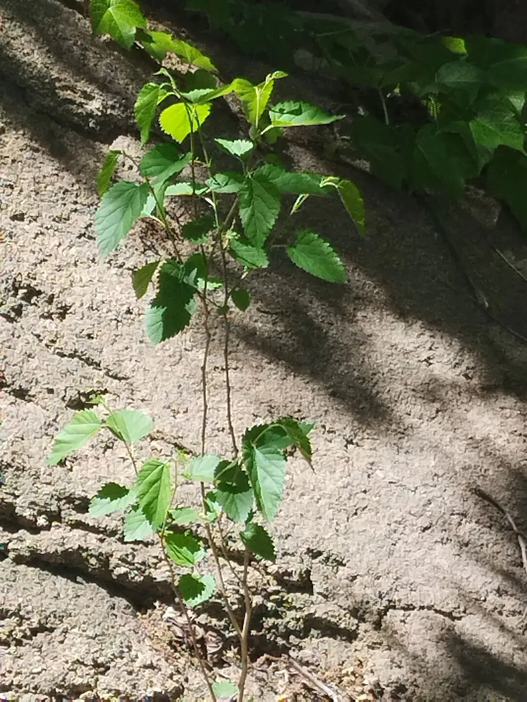 中考频道:五四青年节·游大珠山·触景寄语中考少年 第5张
