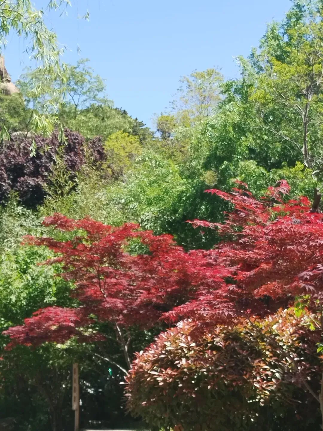 中考频道:五四青年节·游大珠山·触景寄语中考少年 第8张
