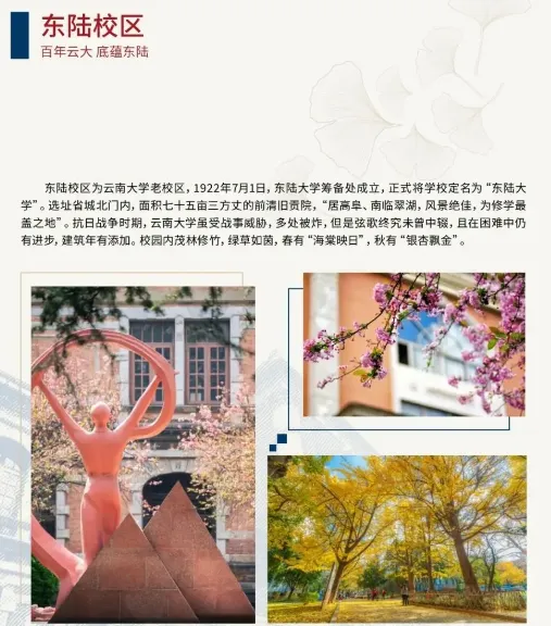2026云南大学招聘专职辅导员笔试历年真题辅导员践行教育家精神热点资料高等教育基础知识行政管理学谈心谈话专题试题库国内外时政资料题库 第43张