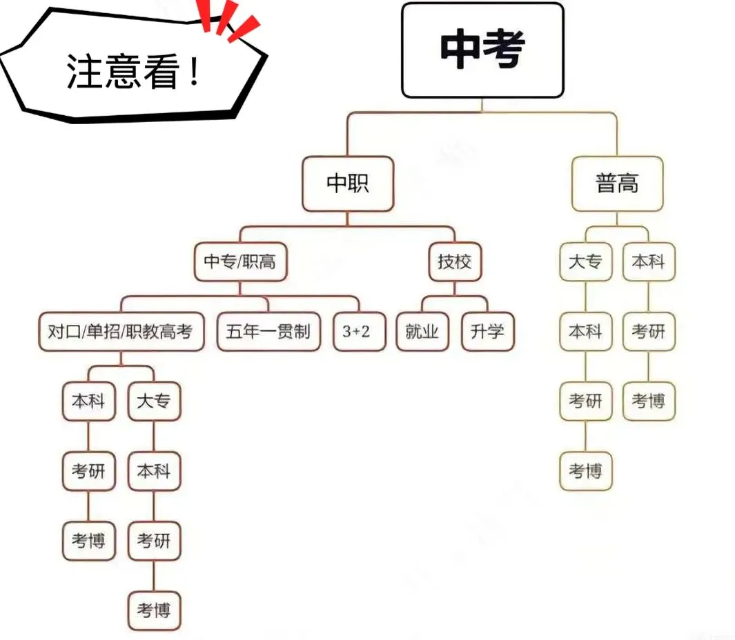 【致湛江初三家长】中考分流不焦虑,中职学校怎么选?一文看懂! 第15张