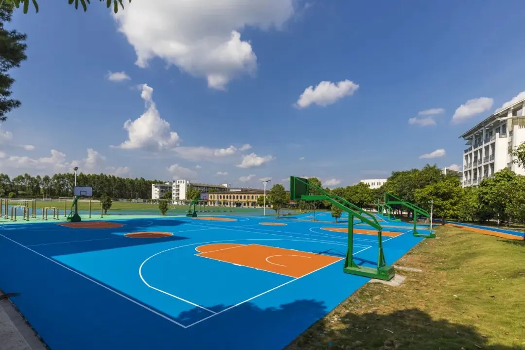 中考A+率近40%!博雅这所“森林校园”里,还藏着一个“未来班”? 第3张
