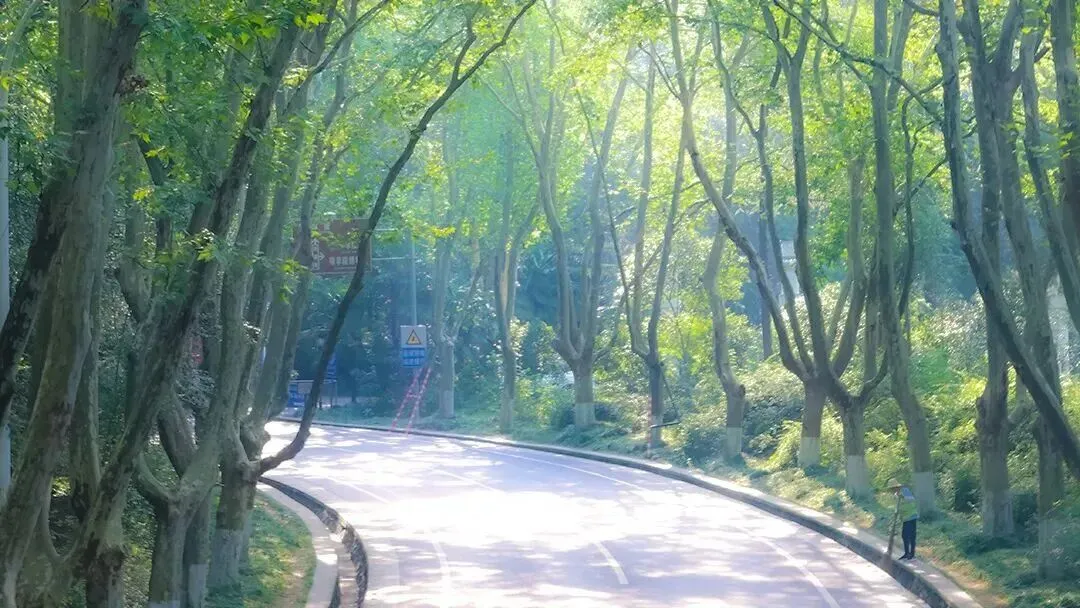 凝心聚力,备战中考|首都师范大学附属滨州中学初三九班中考冲刺家长会圆满召开 第51张