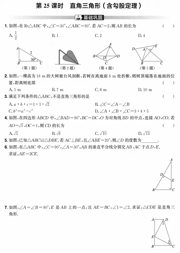 中考数学专题探究(分层练习) 第16张