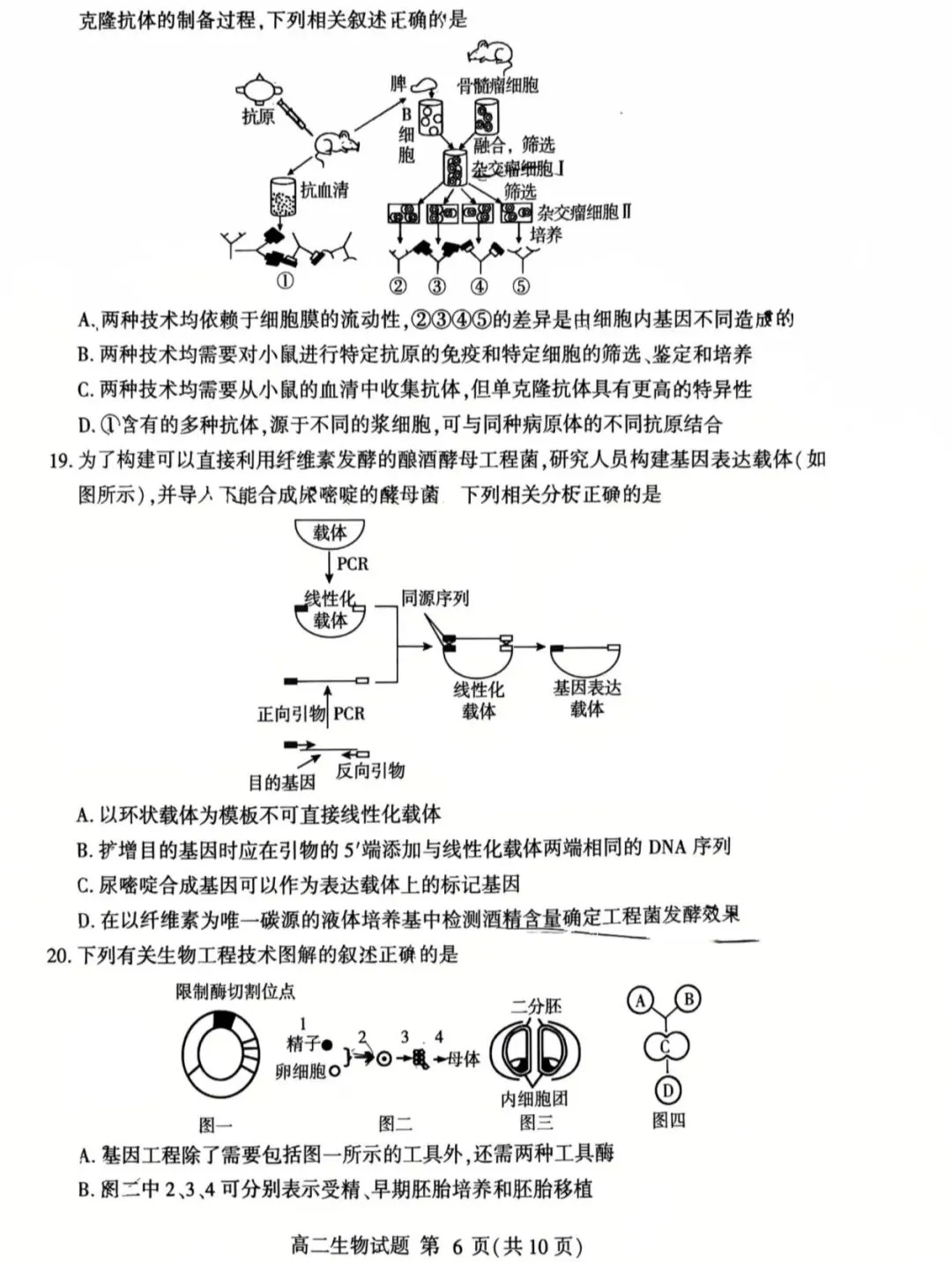2026年临沂市高二下学期期中生物试卷及答案! 第6张