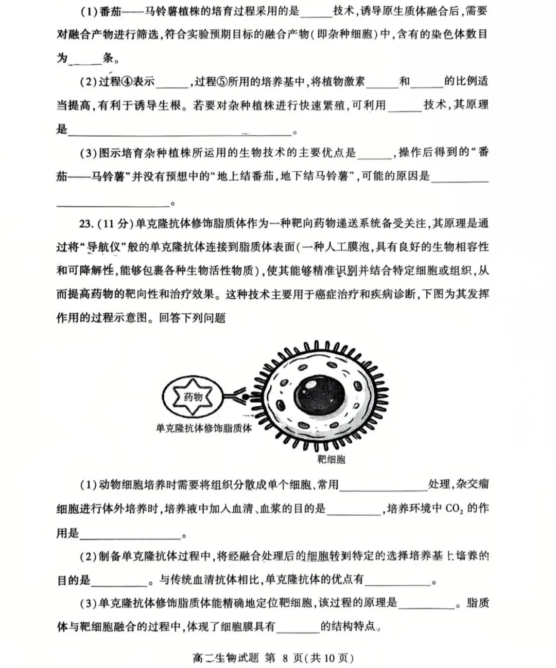 2026年临沂市高二下学期期中生物试卷及答案! 第8张