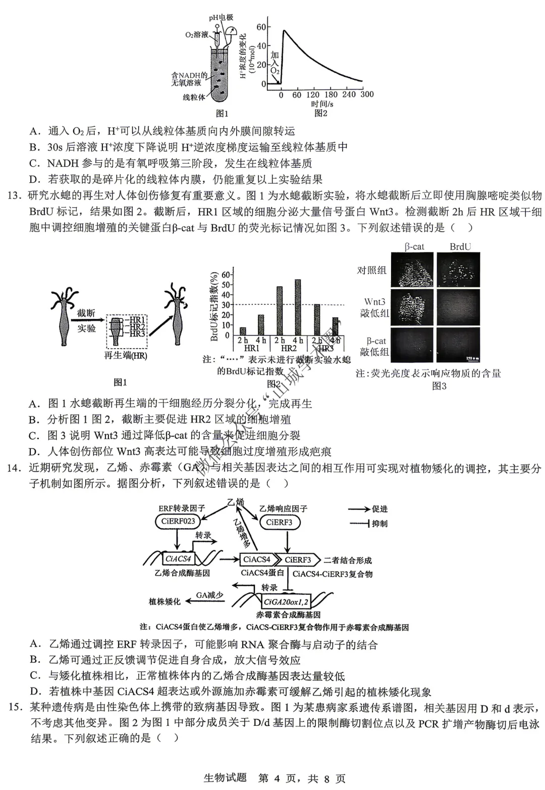 重庆育才中学高2026届高考模拟考试(一)生物试题 第4张