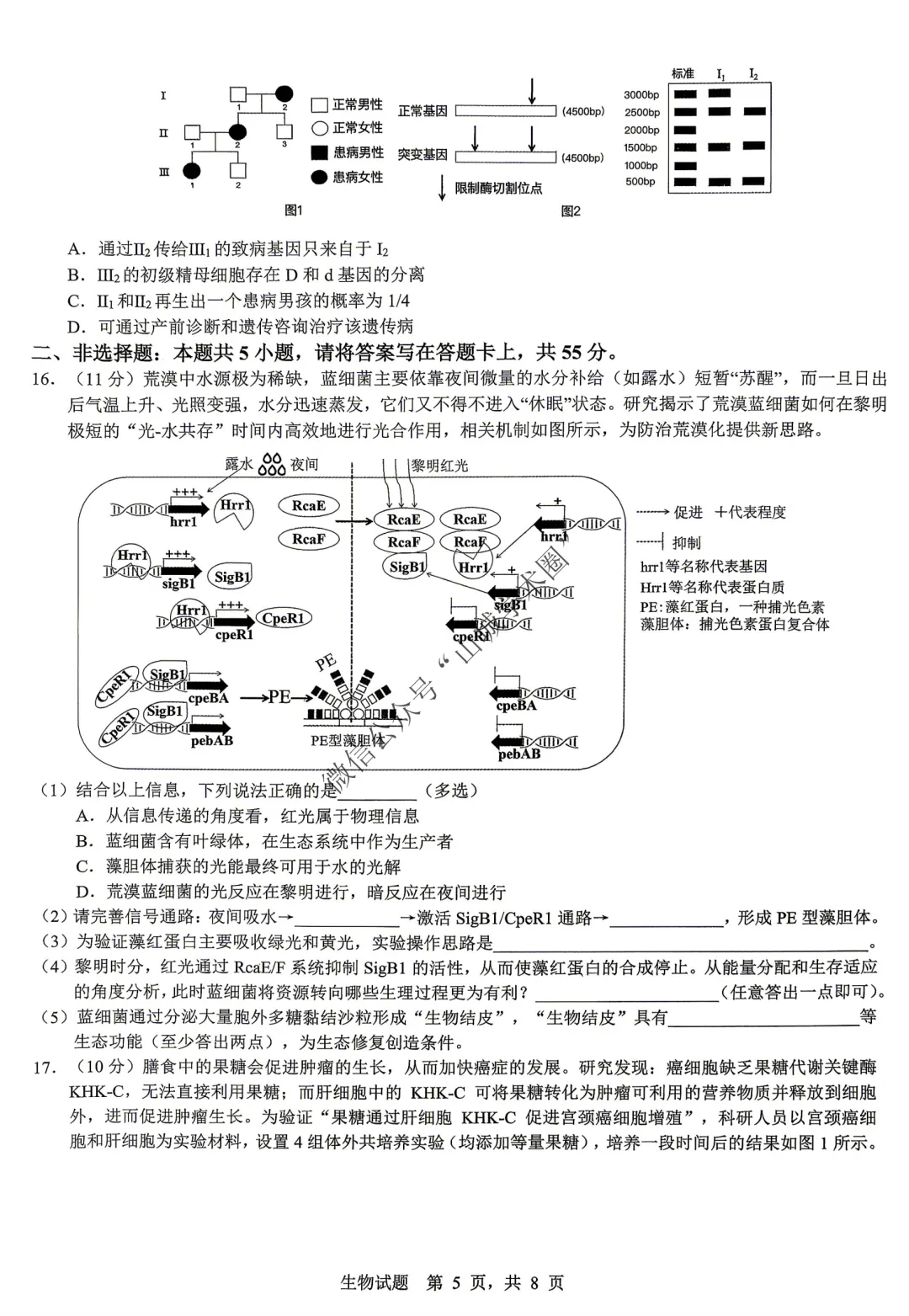 重庆育才中学高2026届高考模拟考试(一)生物试题 第5张