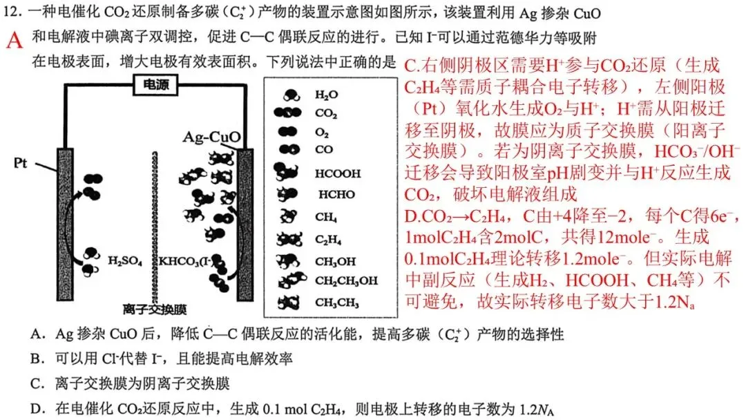 2604 稽阳联谊高三化学试卷解析与讲评 第16张