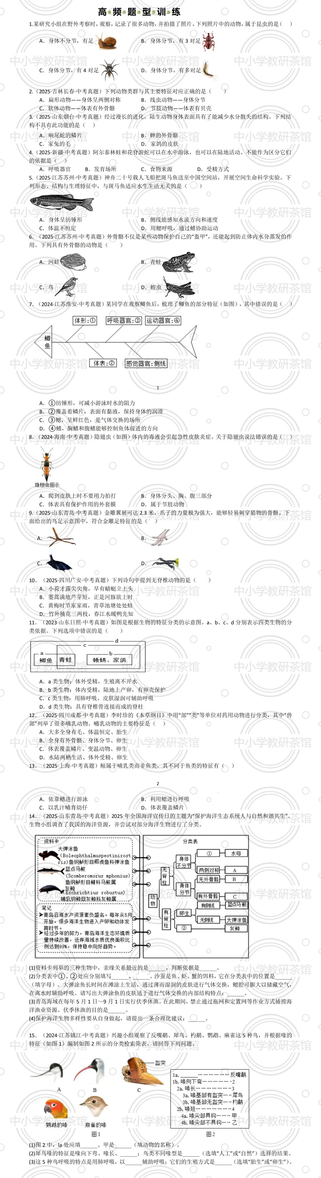 中考生物高频专题04 动物类群( 4大考向)(全国通用)(原卷版+解析版) 第4张