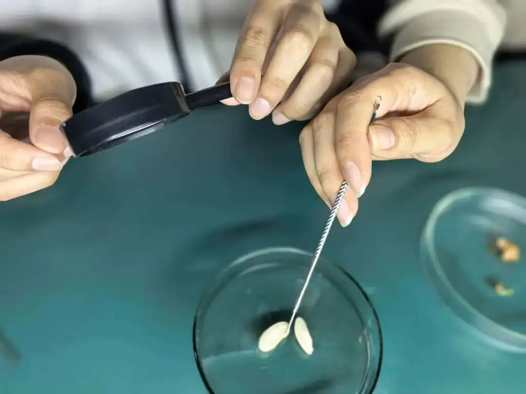 中考要考实验操作,你孩子真正动过几次手? 第4张