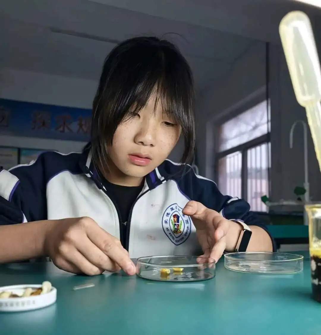 中考要考实验操作,你孩子真正动过几次手? 第18张
