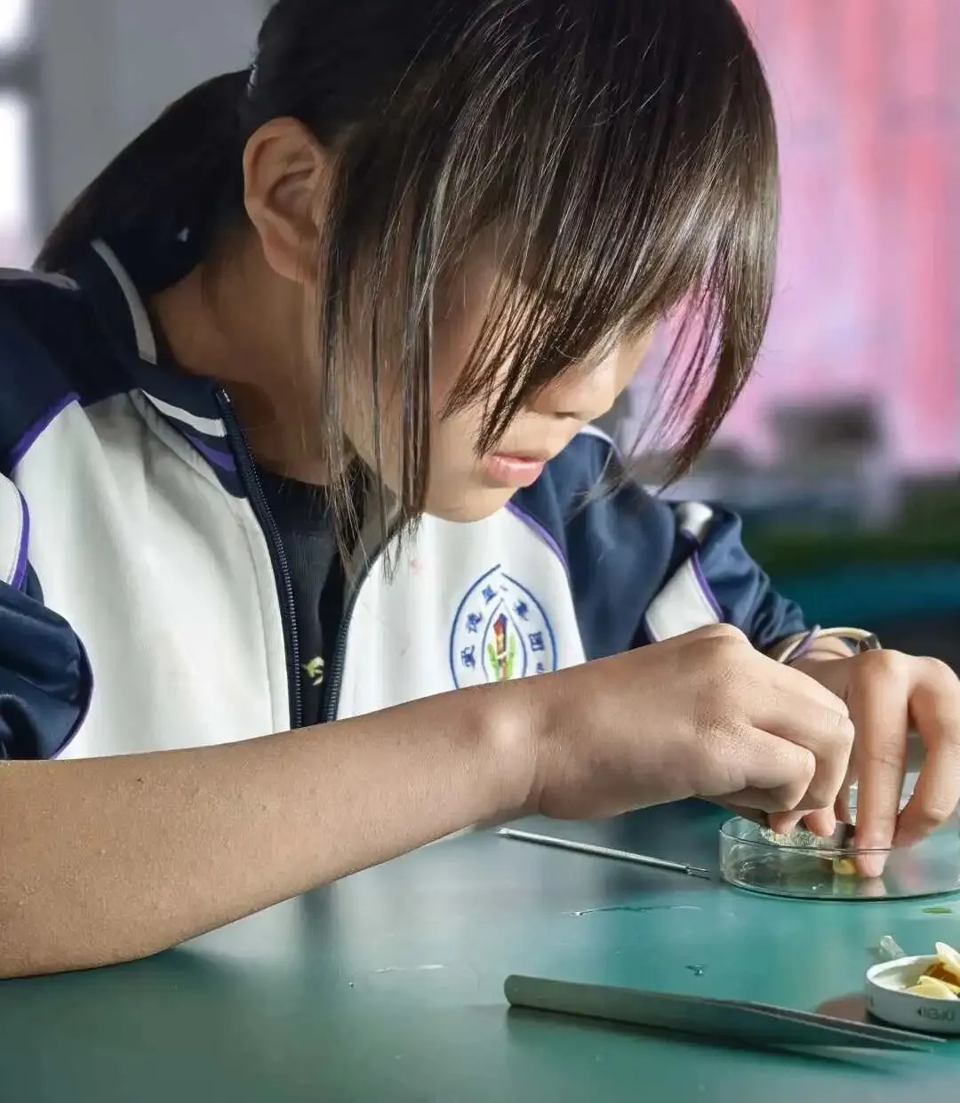 中考要考实验操作,你孩子真正动过几次手? 第20张