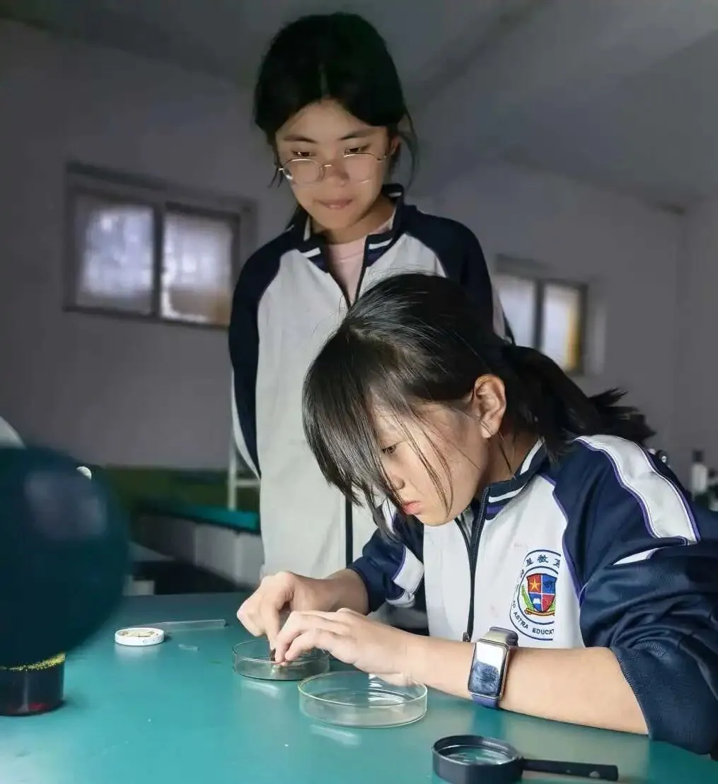 中考要考实验操作,你孩子真正动过几次手? 第21张