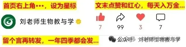 初中生物中考总复习清析训练共19个专题知识易错点+易错字+易错必刷题+常见错因+避错攻略+解析 专题03 显微镜的构造和使用 部分截图 第18张