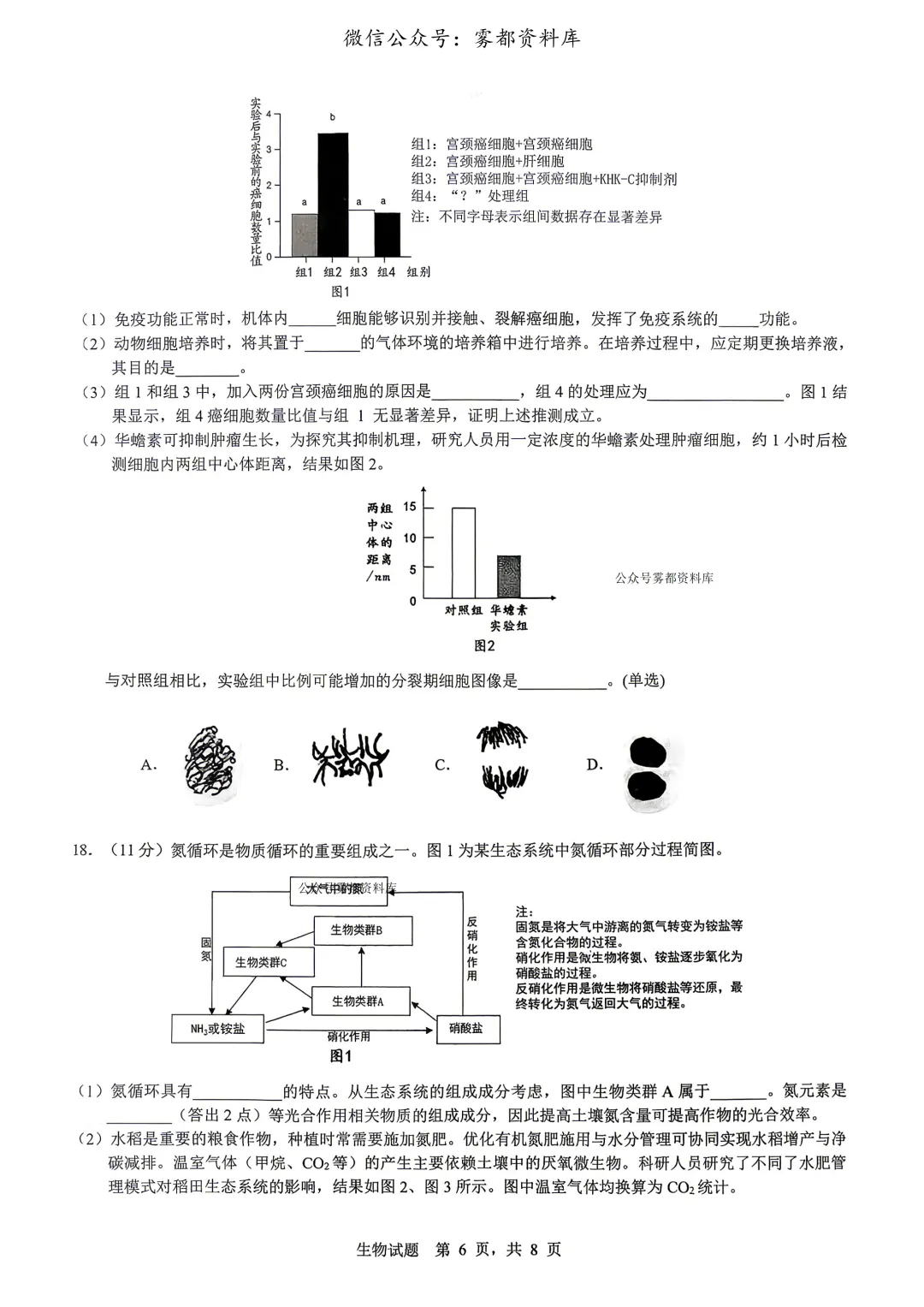 重庆育才中学高2026届高三(下)高考模拟考试(一)生物试题 第10张