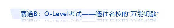 新加坡留学 | 初中生除了中考,原来还有这么多优质的升学赛道! 第5张