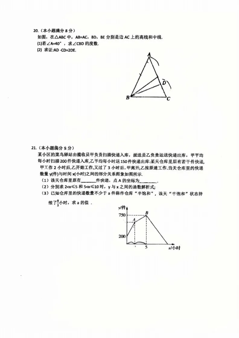 中考一模|2026年4月河北省廊坊市安次区中考一模数学试卷 第5张