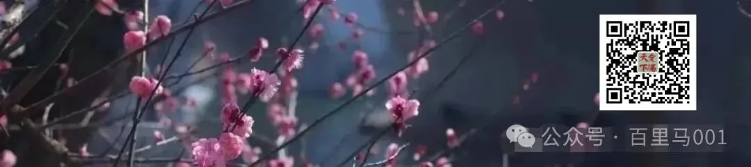 中考体育,到底值不值得继续存在 第7张